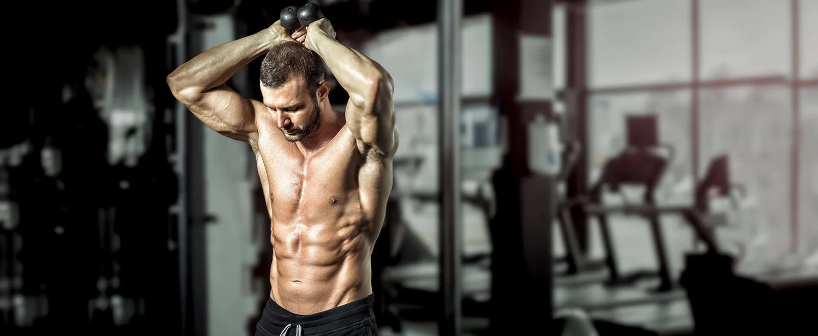Trang chủ - Alpha Fitness